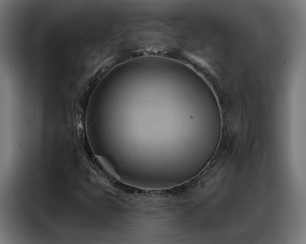 X0000088381399200705221044