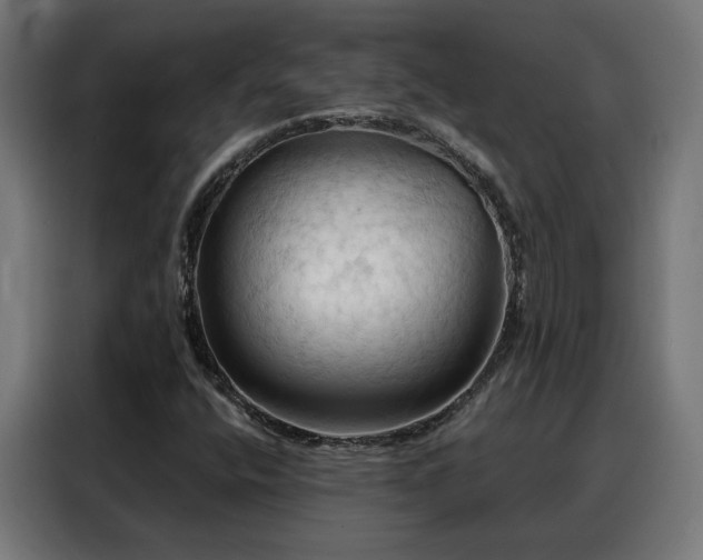 X0000088381400200705221044