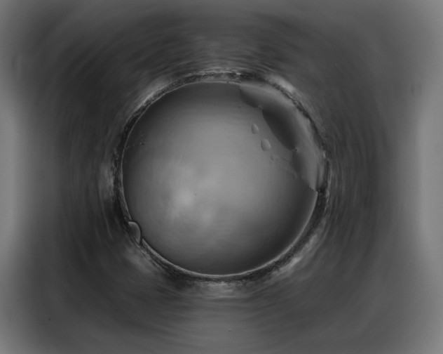 X0000088381401200705221044