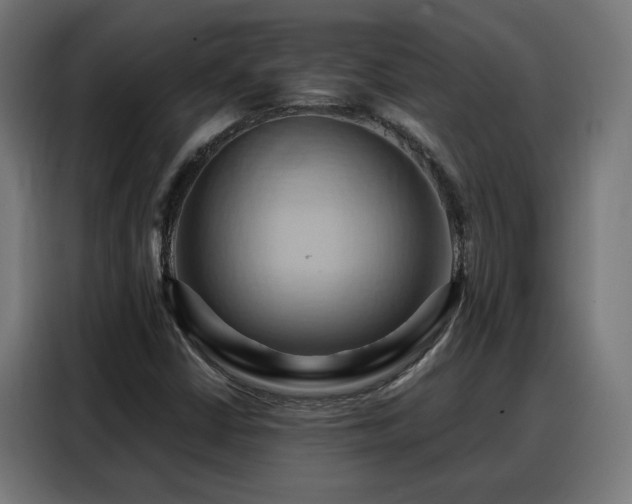 X0000088381402200705221044