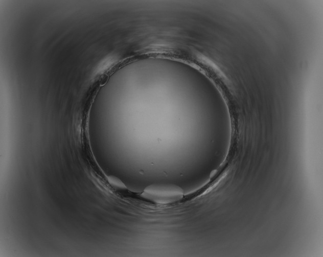 X0000088381403200705221044