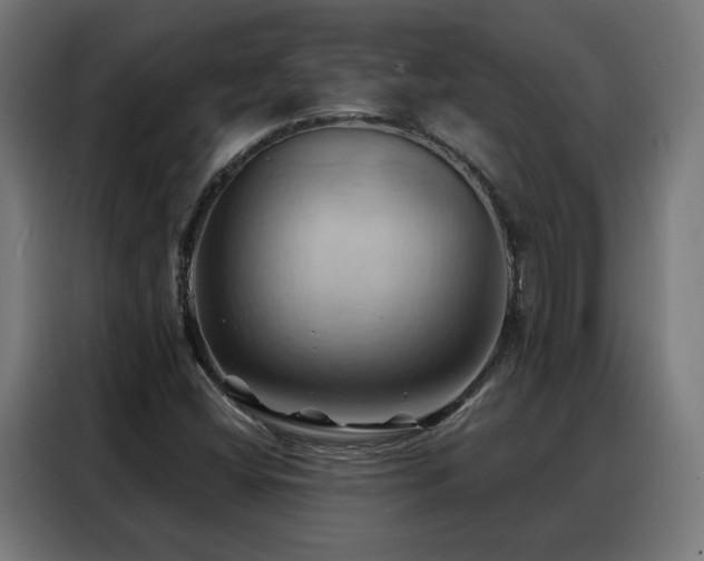 X0000088381404200705221044