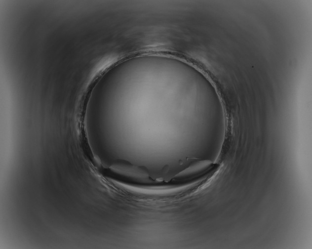 X0000088381405200705221044