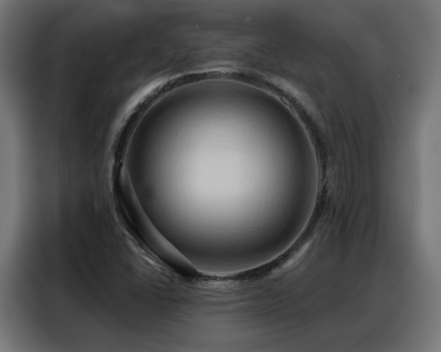 X0000088381406200705221044
