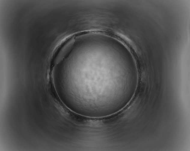 X0000088381407200705221044