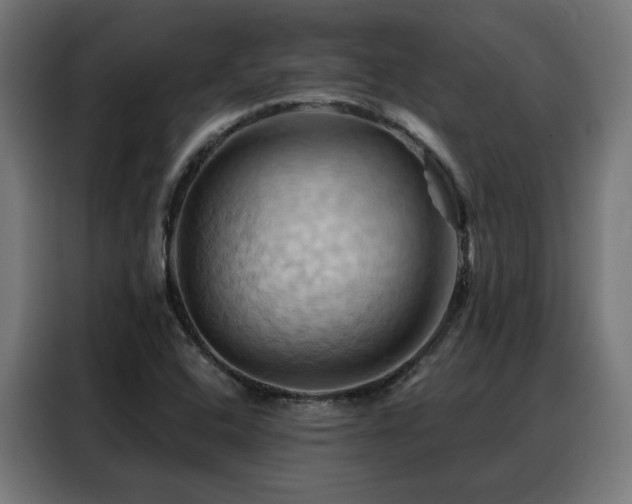 X0000088381408200705221044