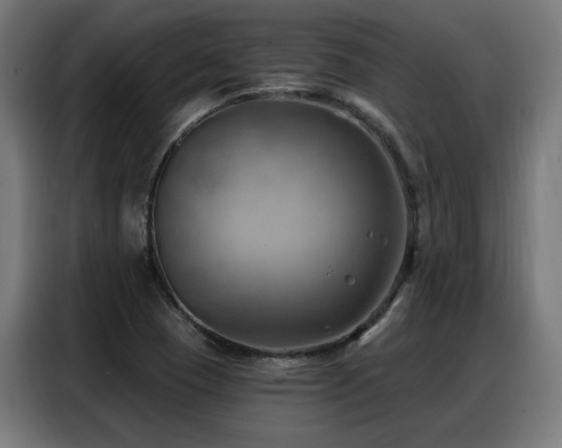 X0000088381409200705221044