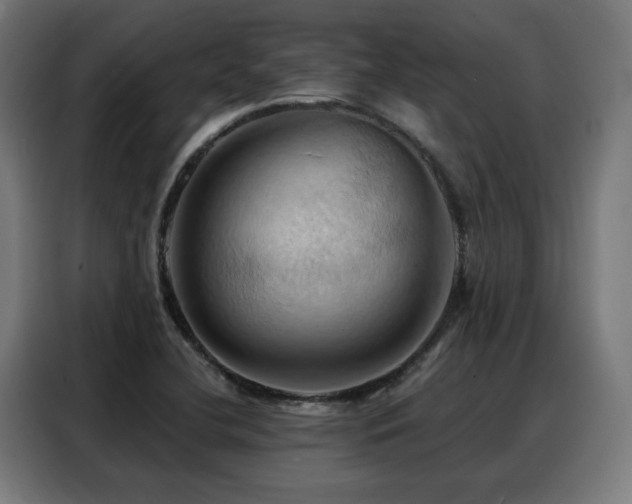 X0000088381412200705221044