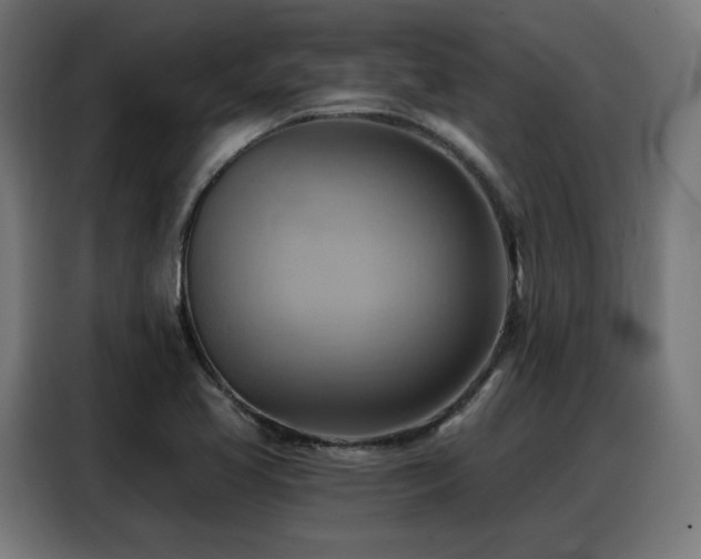 X0000088381413200705221044