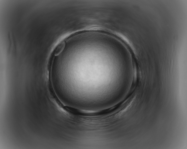 X0000088381414200705221044