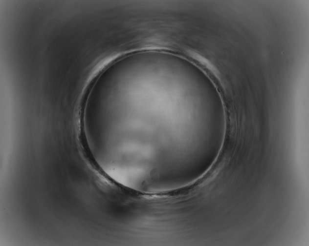X0000088381415200705221044
