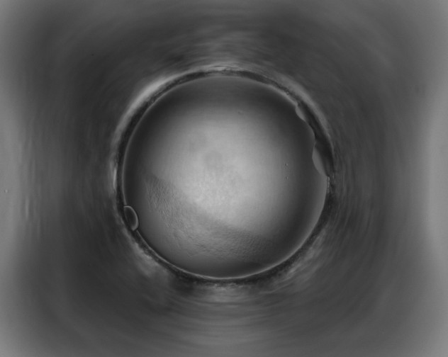X0000088381416200705221044