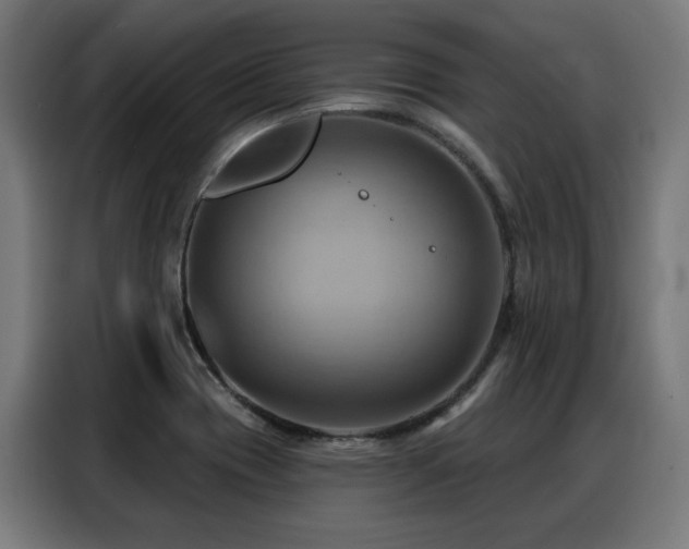 X0000088381417200705221044