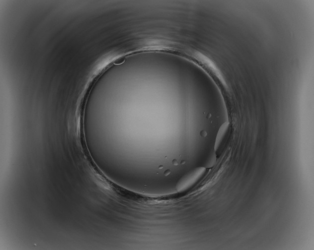 X0000088381419200705221044