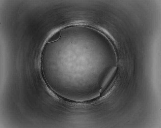 X0000088381421200705221044
