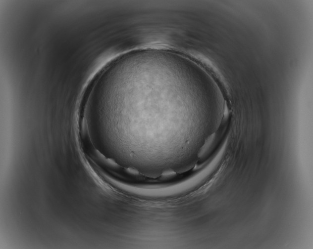 X0000088381422200705221044