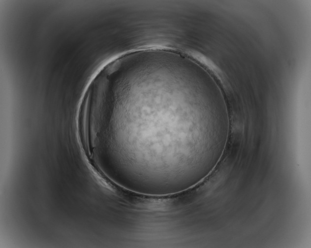 X0000088381423200705221044