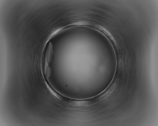 X0000088381425200705221044