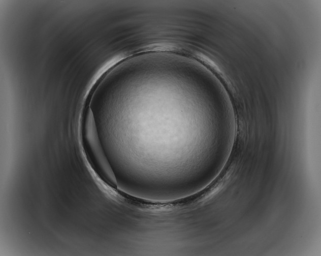 X0000088381426200705221044