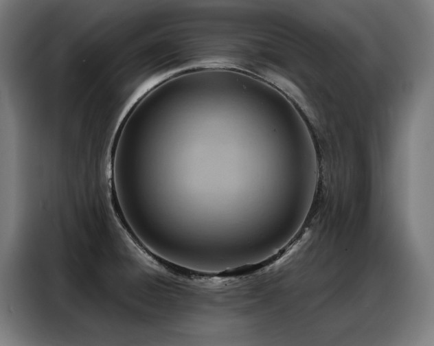 X0000088381428200705221044