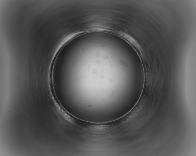 X0000088381431200705221044