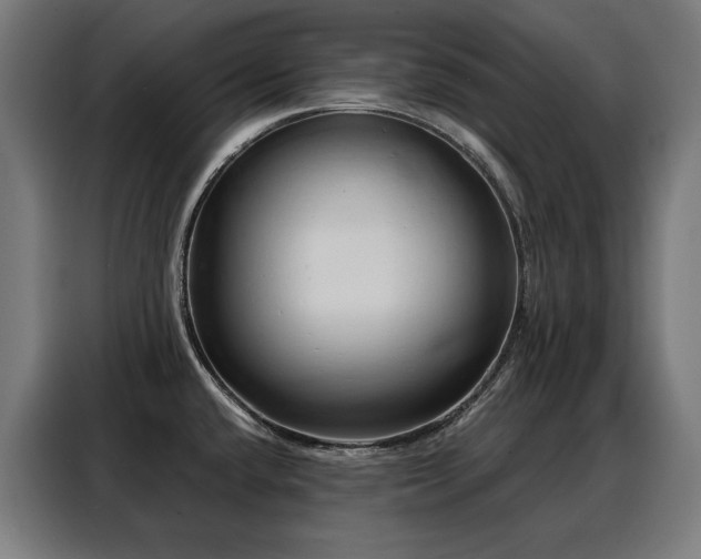 X0000088381432200705221044