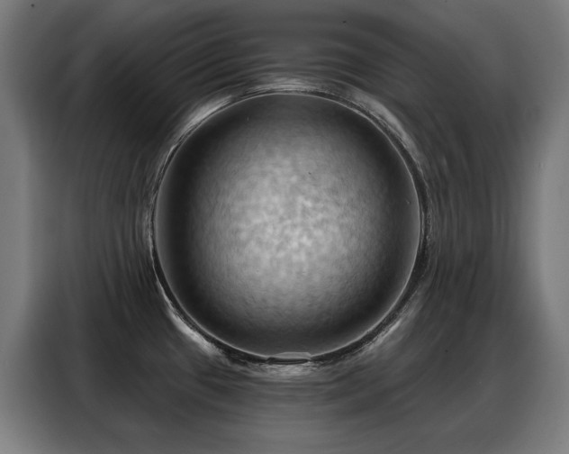 X0000088381433200705221044
