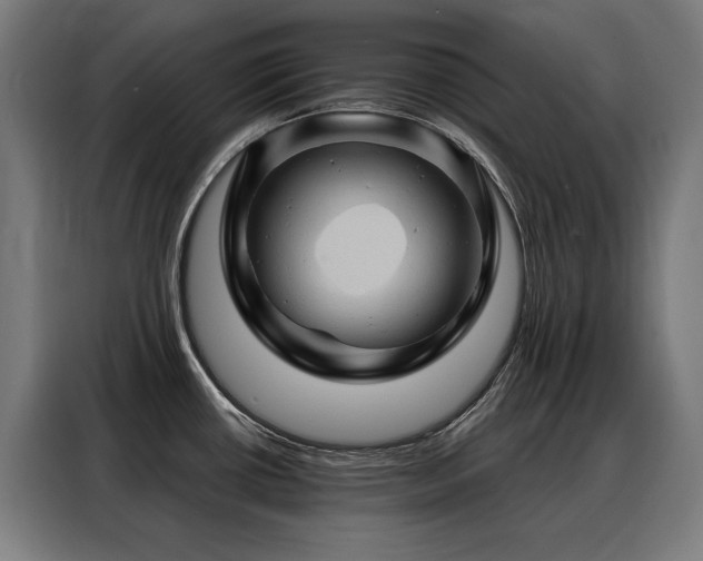 X0000088381434200705221044