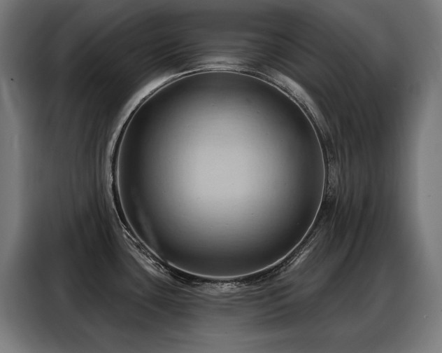 X0000088381435200705221044