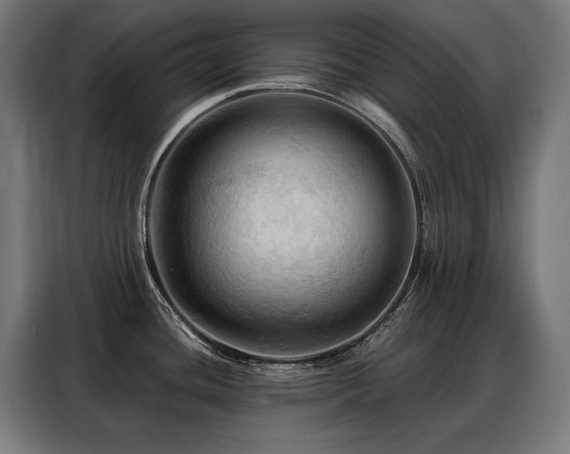 X0000088381436200705221044