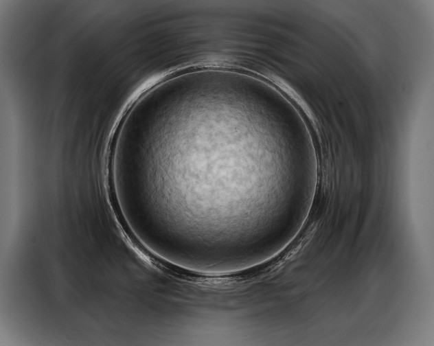 X0000088381437200705221044