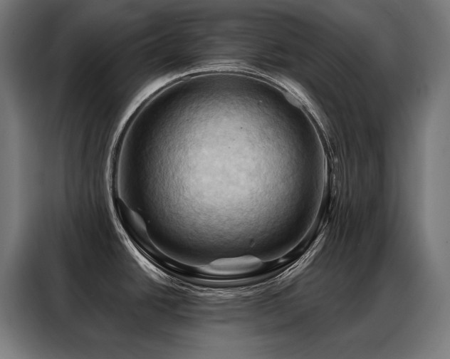 X0000088381438200705221044