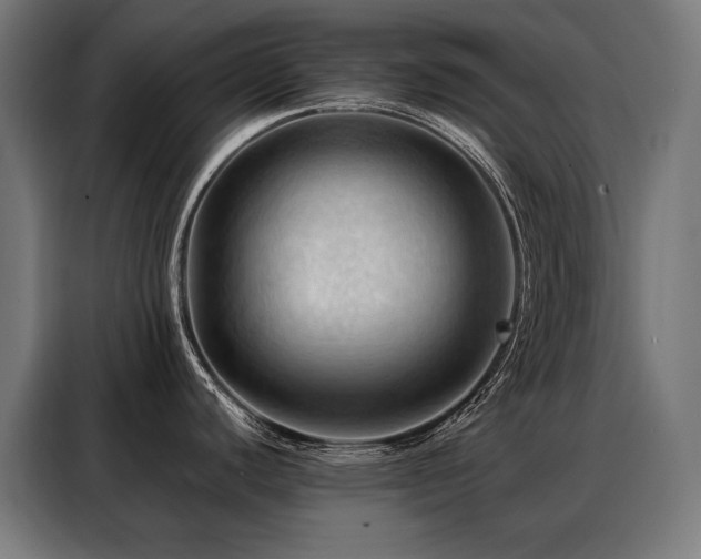 X0000088381440200705221044