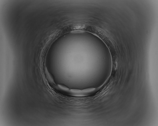 X0000088381441200705221044