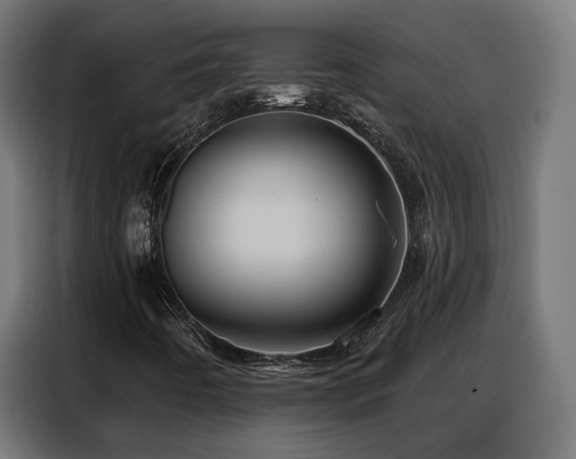 X0000088381442200705221044