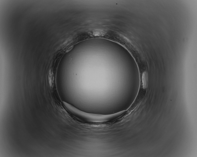 X0000088381443200705221044