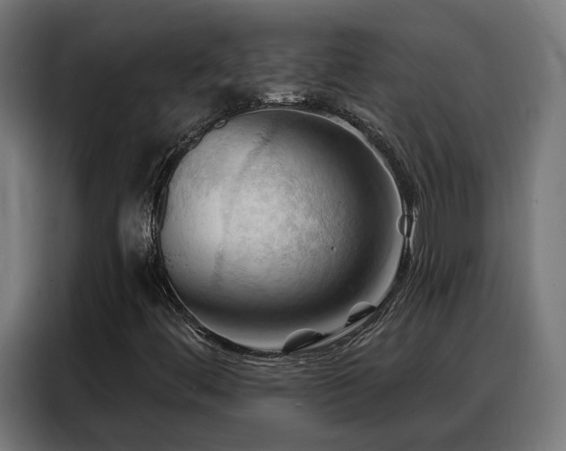 X0000088381444200705221044