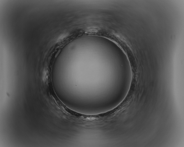 X0000088381445200705221044