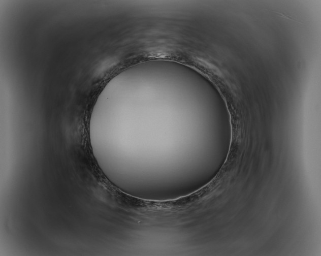 X0000088381446200705221044