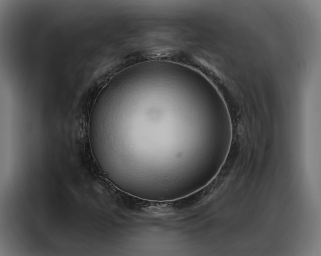 X0000088381447200705221044
