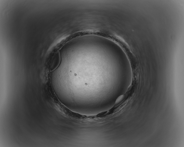 X0000088381448200705221044