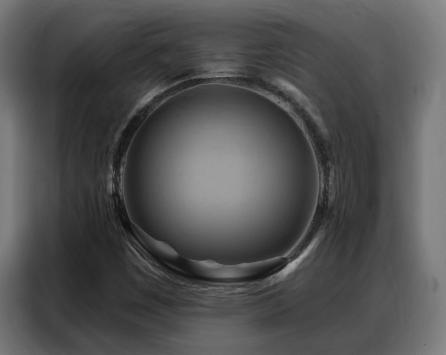 X0000088381449200705221044