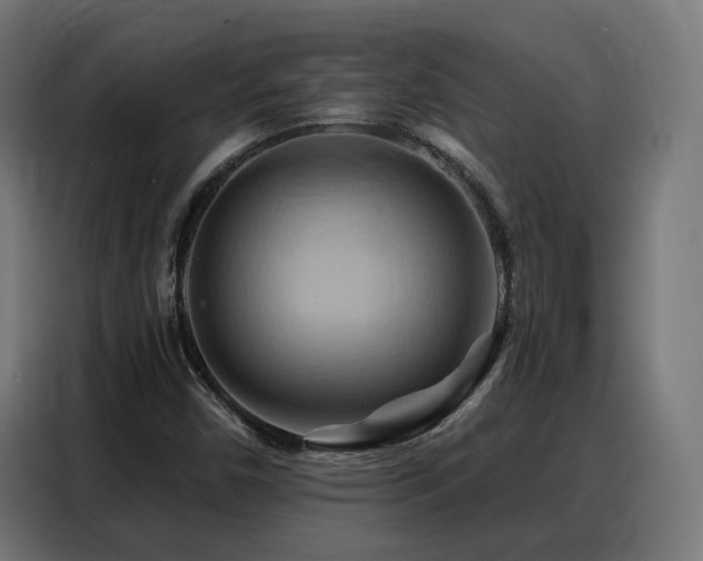 X0000088381450200705221044