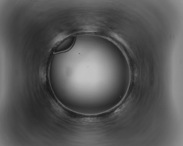 X0000088381451200705221044