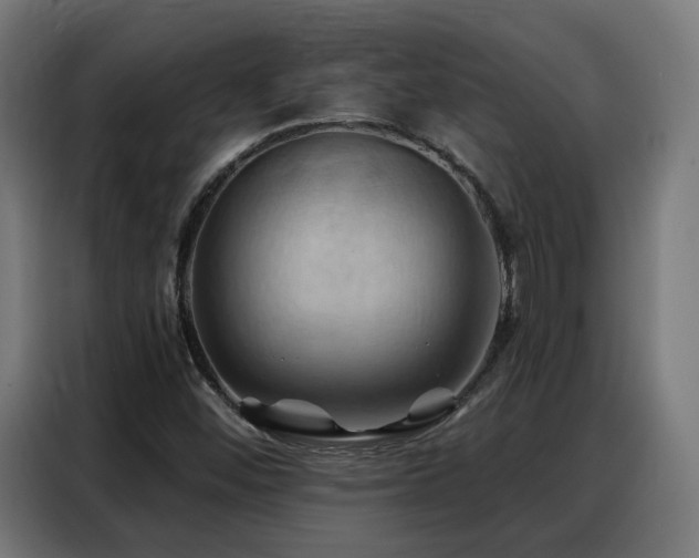 X0000088381452200705221043