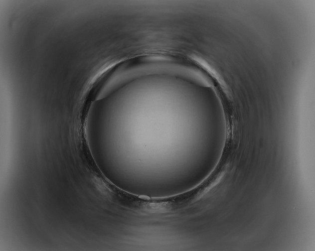 X0000088381453200705221043