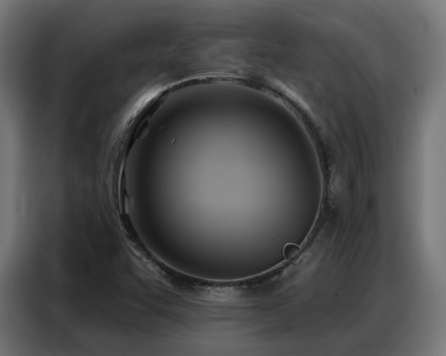 X0000088381455200705221043