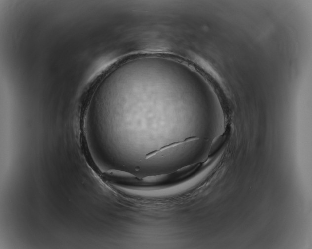 X0000088381456200705221043