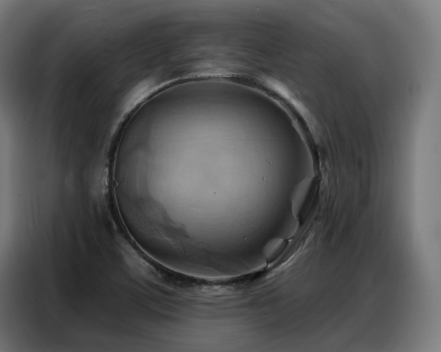 X0000088381459200705221043