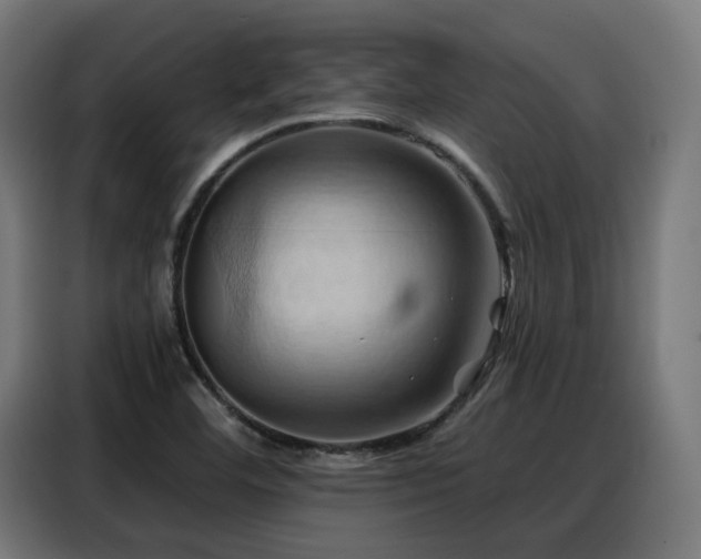 X0000088381460200705221043